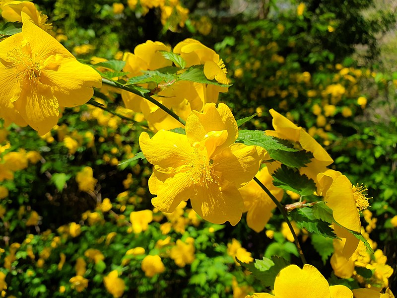 Holidays in April in Sardinia among natural beauties and millenary history