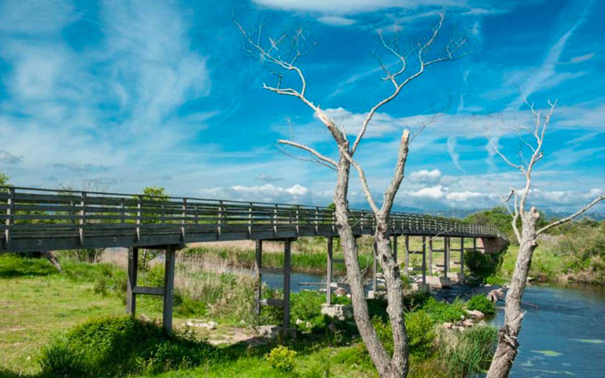 Naturalistic excursion in the Padrongianus River Park