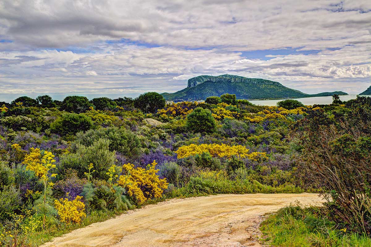 Holidays in April in Sardinia among natural beauties and millenary history