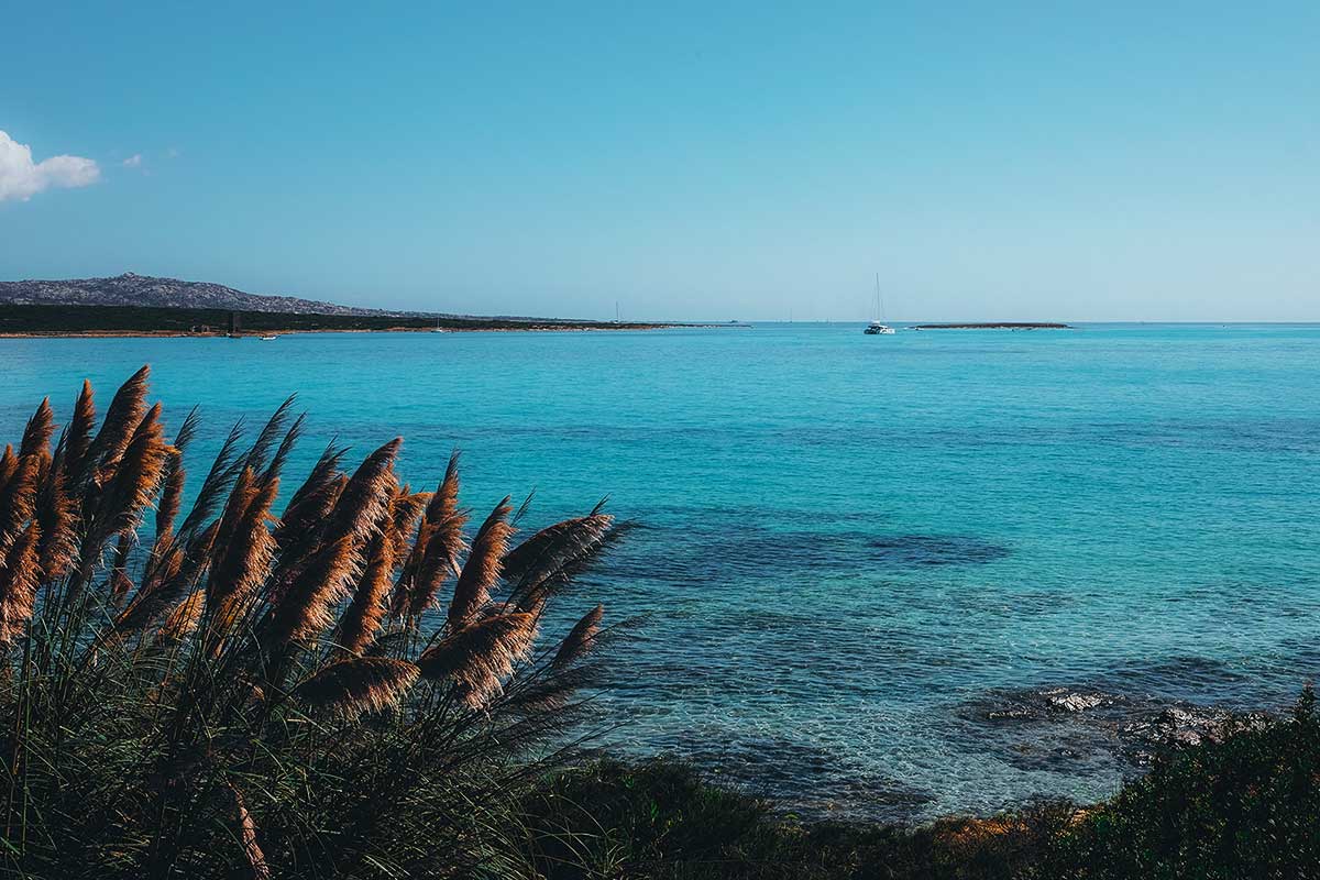 Nordosten Sardiniens: die Insel der Ferien das ganze Jahr über