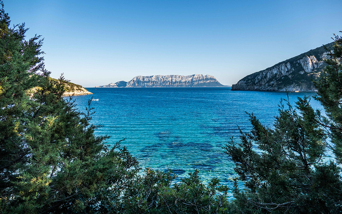 Gita in gommone o in traghetto all'area marina protetta di Tavolara