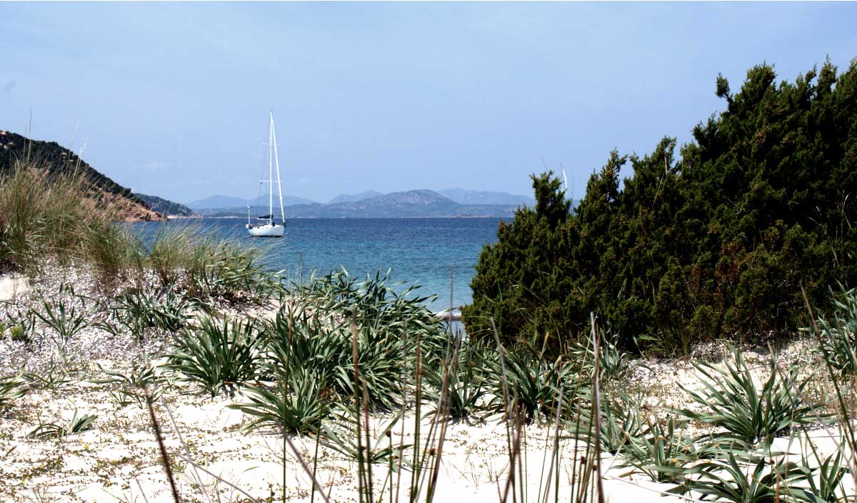 Nordosten Sardiniens: die Insel der Ferien das ganze Jahr über